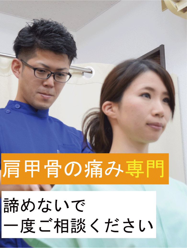 肩甲骨の痛み けんこう専科整体院 浜松町本院